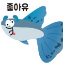 중앙복돼지