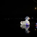 경천섬 주차장 공중화장실 이미지