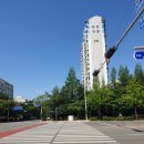 달안초 건너편 이미지