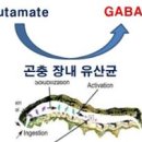 그리네스트 이미지