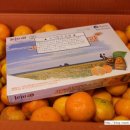 오서방네 농장 이미지