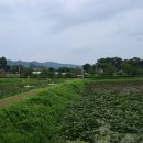 연꽃마을4단지 이미지