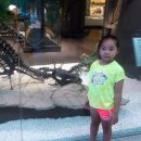 솔로몬파크 체험관1층 이미지