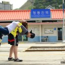 들꽃목장 이미지