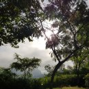 영월군청화장실 이미지