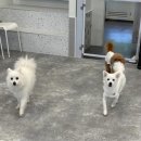 라이프 오브 라일리(Life of Riley) 이미지