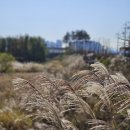 왕숙천 자전거도로15 이미지