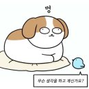 빈센트대성약국 | 혼돈의 사랑니 후기