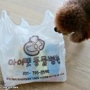 마이펫종합동물병원 이미지