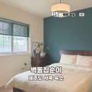 벽돌집순이 이미지