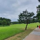 능산리 고분군 전시관 이미지
