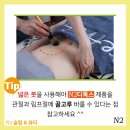 뷰티 앤 독 이미지