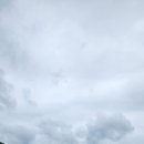 화천 황쏘가리 서식지 | [강원도 화천] 토속어류생태체험관