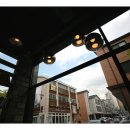 에코의 서재 이미지