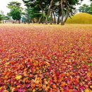 운종경로당 네이버블로그