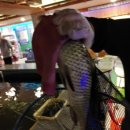 꾼실내낚시카페 이미지