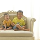 건하사진 - 고양시 덕양구 고양대로1730번길 77-73 | 건하사진