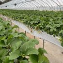 청원영농조합법인 이미지