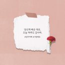 은혜꽃집