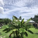 점암농장 이미지