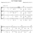 Ave Verum Corpus / Ave verum corpus (William Byrd) [The Sixteen] 이미지