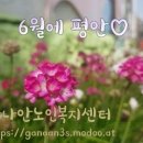 가나안노인복지센터 이미지