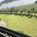 강가애하루 이미지