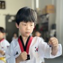 국가대표MAS태권도장 이미지