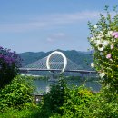 들국화목장 이미지