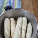 도영 농장 이미지