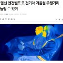 열선 안전띠 출시 ? 이미지