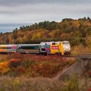 Best Line(베스트라인) 이미지