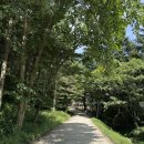 부자목장 | [평창] 강원도 평창 여행코스 &#39;대관령 양떼목장&#39; 내돈내산 후기 주차 포토존