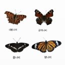 나비프로젝트 풀꽃향기반진건기자 이미지