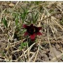 우솔한의원 이미지