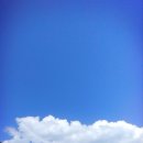 동상세탁 이미지