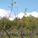 만재농장 이미지