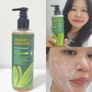 클린워시 | 올영세일 추천템 데저트에센스 티트리 클린페이스워시 사용 후기