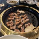 고고기 이미지