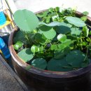 푸른하늘주유소 이미지