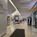 염색으로 상한 머릿결 시세이도 헤어케어 후기 - 에코쟈뎅 코엑스 삼성점 다인 디자이너