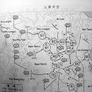 제3절 추라이 ( Chu Lai ) 지역 작전/7) 노룡 1,2호전투시 제6중대의 상황 이미지