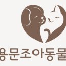 조아동물병원 이미지