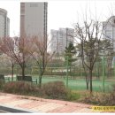 동백이보영의토킹클럽어학원 네이버블로그