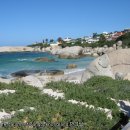 케이프타운 이미지