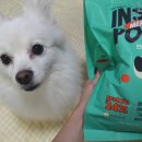 인섹트 파워 이미지