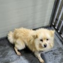 태민동물병원 이미지