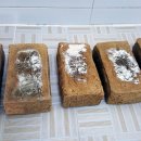 송함농장 이미지