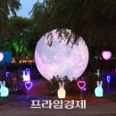 1박2일 아래 이미지