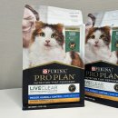 고양이집사 | 고양이 알레르기 집사 후기｜퓨리나 리브클리어 2년 먹여본 변화